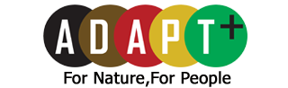 Adapt Plus Ltd (Adapt+)