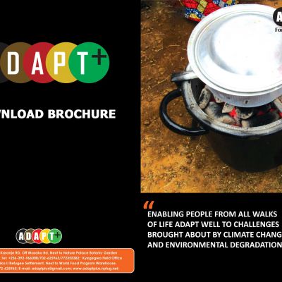 brochure
